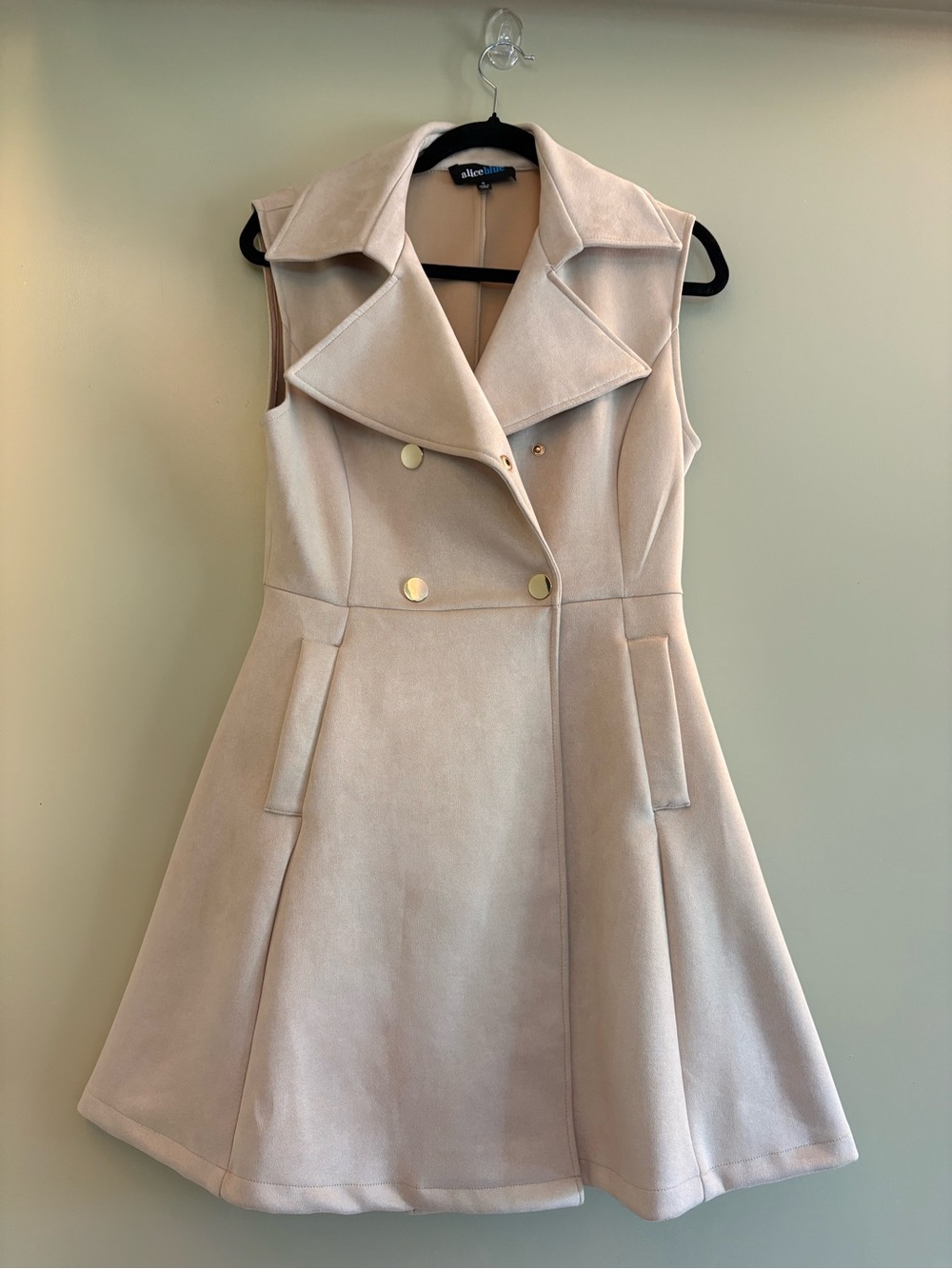 Alice Blue Sleeveless A-Line Dress in Blush with Gold Buttons